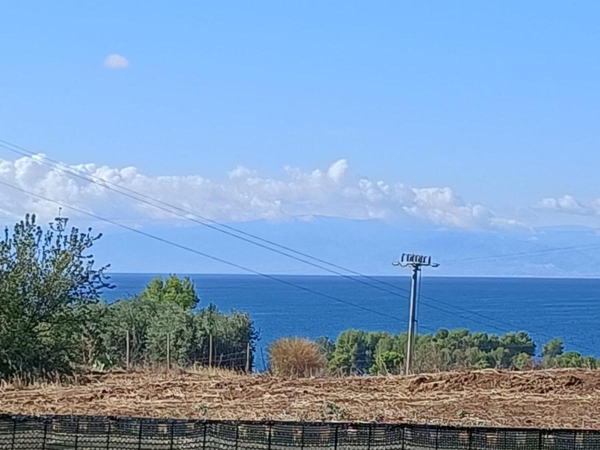 La Taverna Di Angela Amendolara Εξωτερικό φωτογραφία